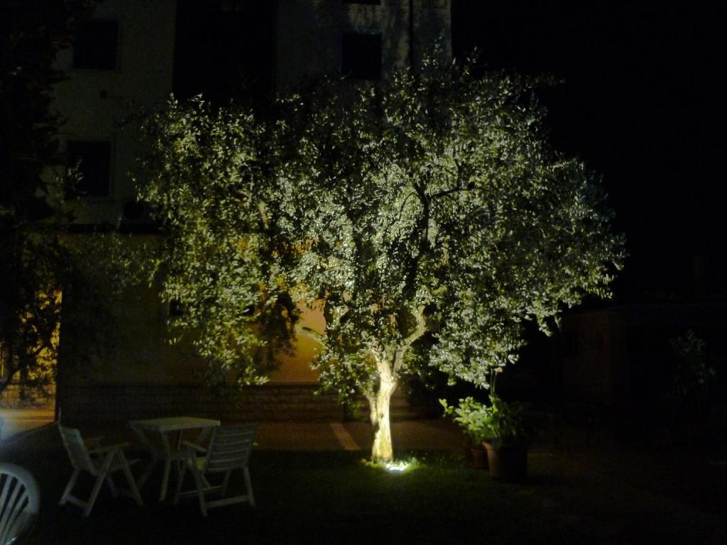 B&B Villa Dall'Agnola การ์ดา ภายนอก รูปภาพ